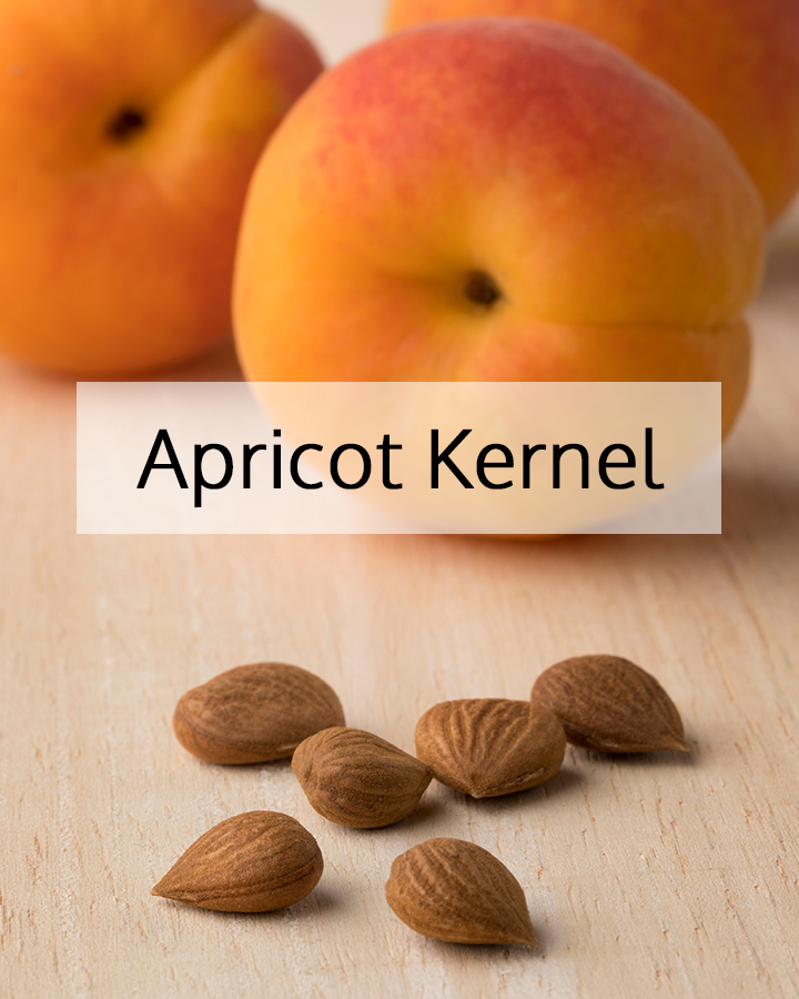 apricot_kernel