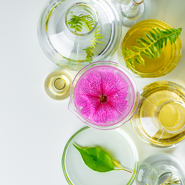 Bi-phasic skincare infusion with botanical oils, water-based extracts, and fresh leaves in glass vessels, illustrating ORY Skincare’s dual-phase formulation science.