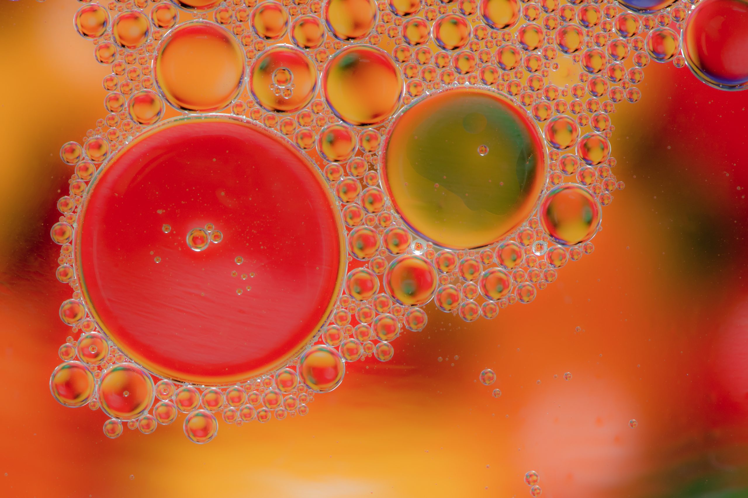 Macro image of oil and water droplets illustrating bi-phasic infusion in skincare, where oil and water phases remain distinct to deliver dual hydration and nourishment.