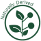 natural_derived_icon-2