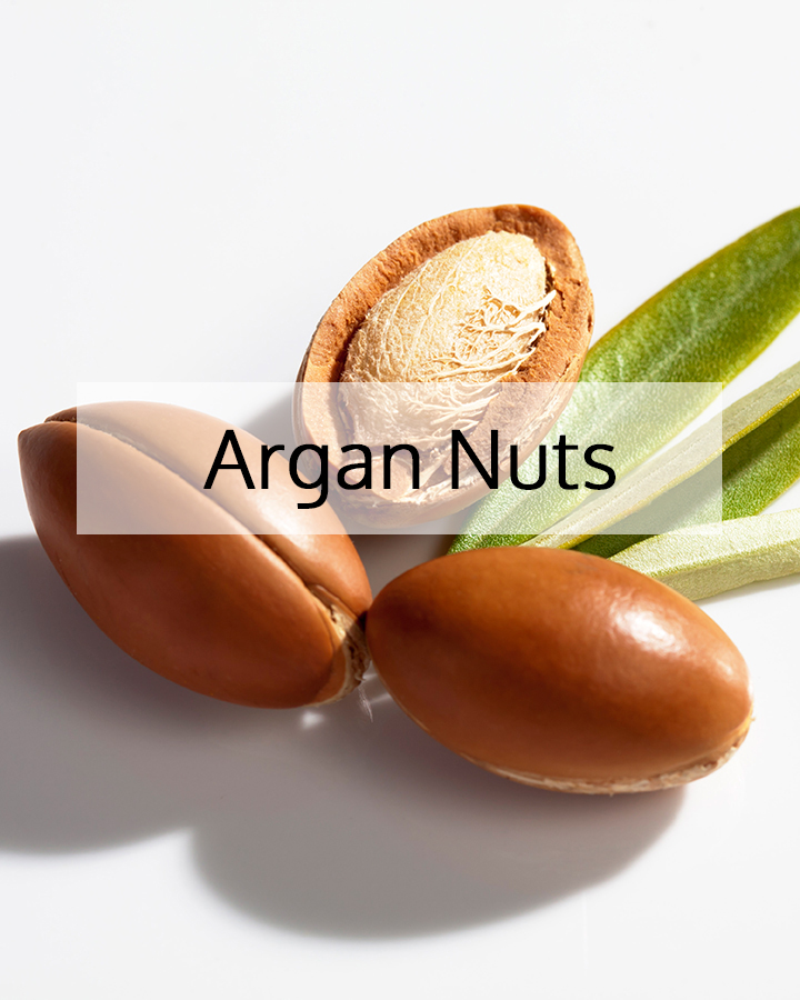 Argan nuts with cracked shell and green leaves on a white background, representing the source of argan oil used in ORY Skincare for deep nourishment and skin barrier support.